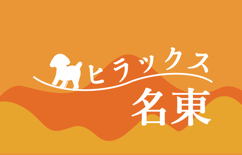 ヒラックス名東